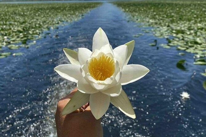 Two Hours Sightseeing Lake Cruise at Montenegro National Park - Departing from Pirvazar to Explore the Scenic Waterways