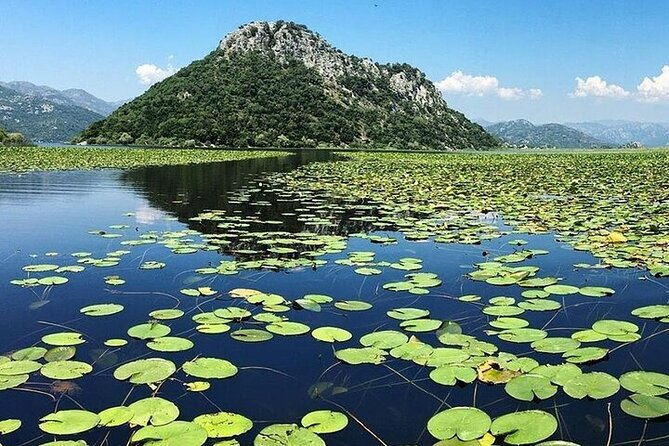 Two Hours Sightseeing Lake Cruise at Montenegro National Park - Bird-Watching at Kamenik and the Reeds