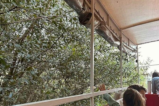 Two Hours Sightseeing Lake Cruise at Montenegro National Park - Discovering the Vast Water-Lily Covered Area