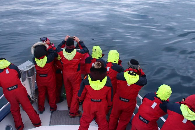 Two-In-One: Whale & Puffin Watching Tours from Reykjavik - Whale Watching in Faxaflói Bay with a Sightings Guarantee