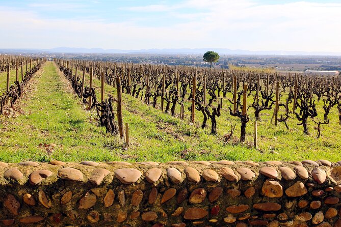 Two intensive days discover exceptional wines of the Rhône valley - Exploring Vacqueyras and Its Fine Wines