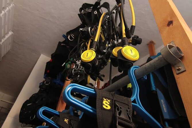 Two Morning Dives in Gozo for Certified Diver - Shore Diving in Gozo: Exploring the Underwater Landscape