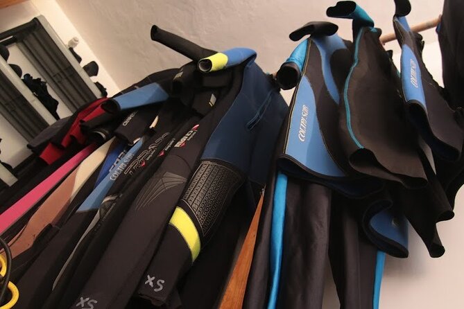 Two Morning Dives in Gozo for Certified Diver - Accessing Multiple Dive Sites from One Location