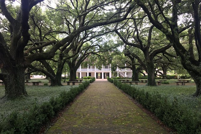 Two Plantation Tour: Oak Alley and Laura or Whitney - Comfortable Transport and Practical Details