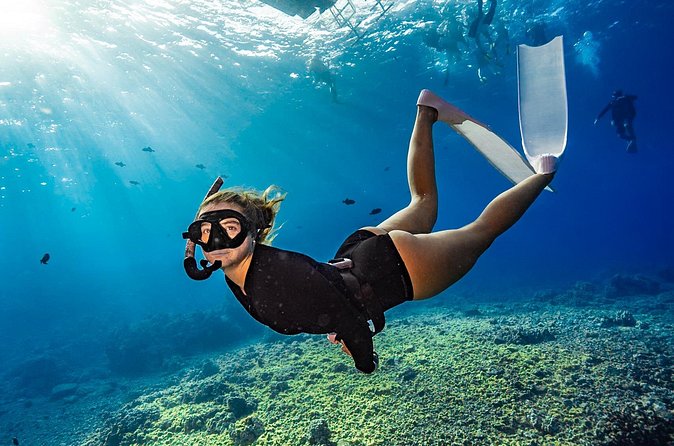 Two Site Snorkeling Adventure featuring the Molokini Crater - Ideal for Who?