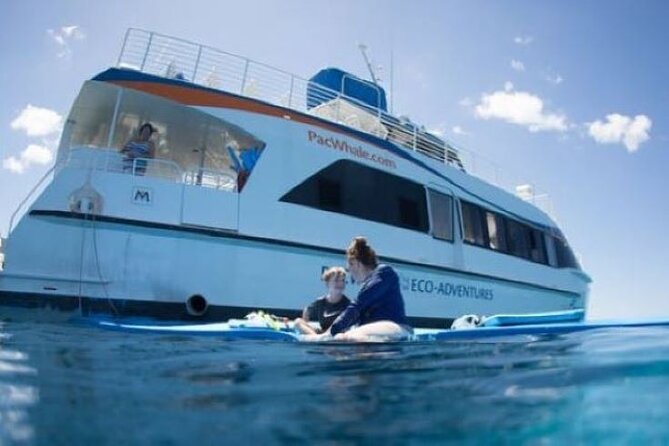 Two Stop Snorkel Adventure from Maui - Why Choose This Maui Snorkel Adventure?