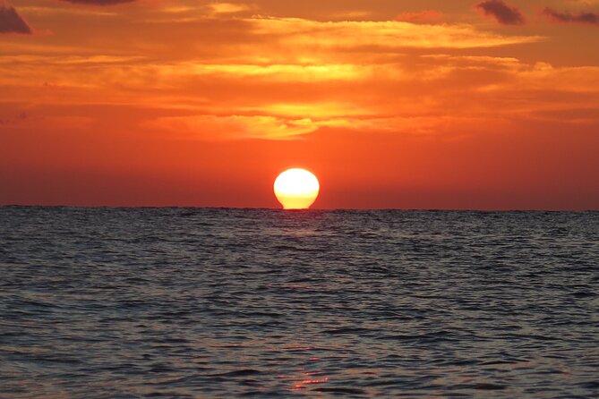 Two Tank Certified Cozumel Scuba Adventure - Key Points