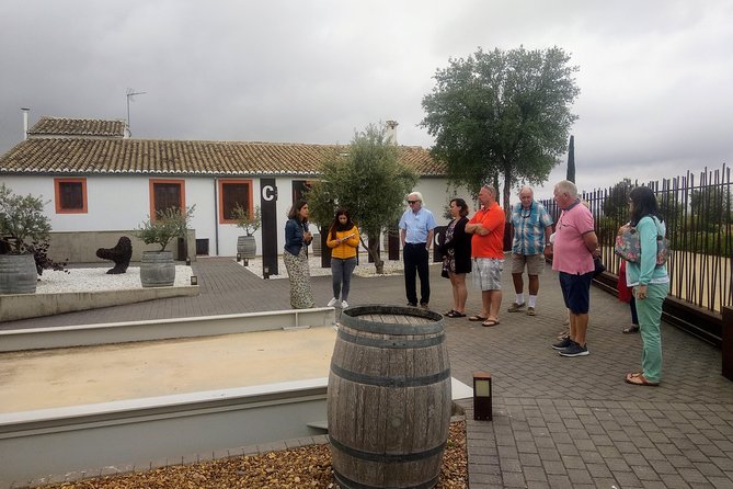 Two wineries tour with wine tasting - Why This Tour Stands Out from Other Wine Experiences