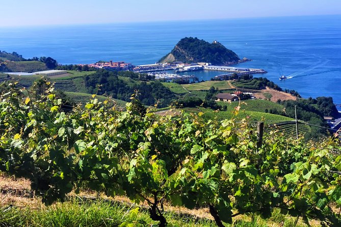 TXAKOLI vineyards HIKE, ZUMAIA and GETARIA - Private Outdoor & Gastronomic Tour - Discover the Private TXAKOLI Vineyards Hike and Gastronomic Tour in San Sebastián