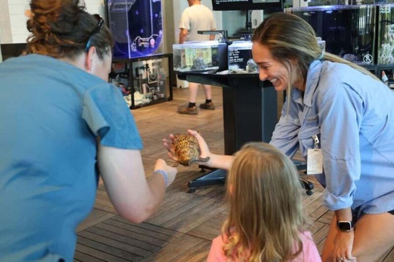 Tybee Island Marine Science Center Entry Ticket - Key Points
