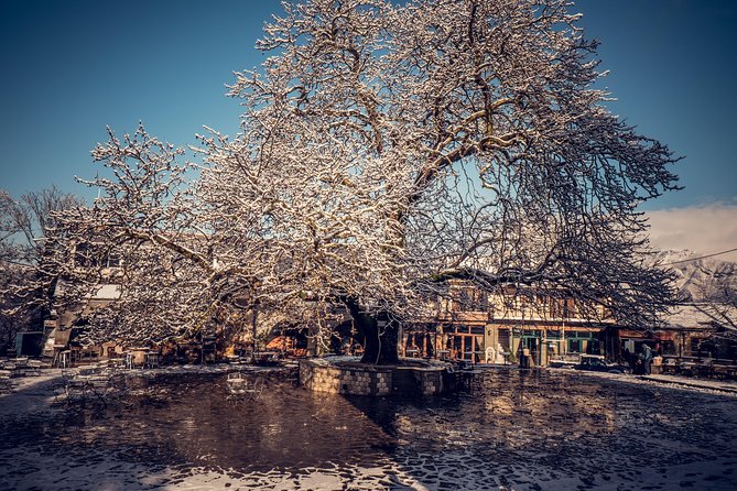 Tzoumerka villages tour (1 day) - Discovering Pramanta Village and Its Heritage