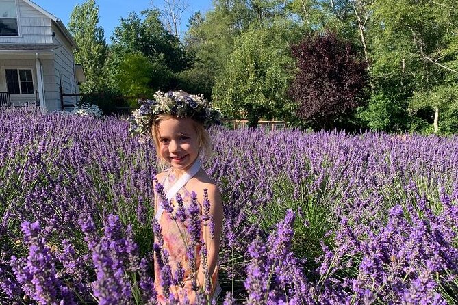 U-Pick Lavender Experience on Bainbridge Island - Explore the Native Forest Trail