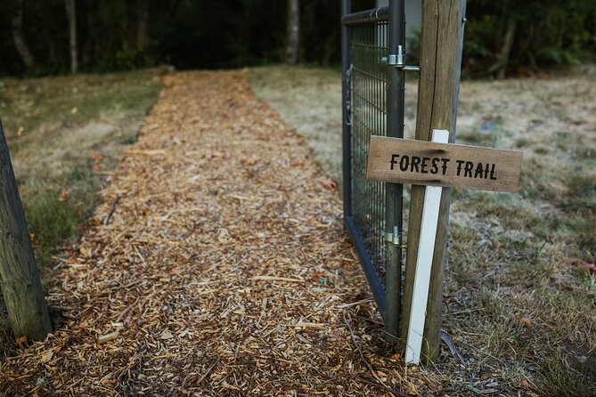 U-Pick Lavender Experience on Bainbridge Island - The Charm of Bluetree Farm and Forest