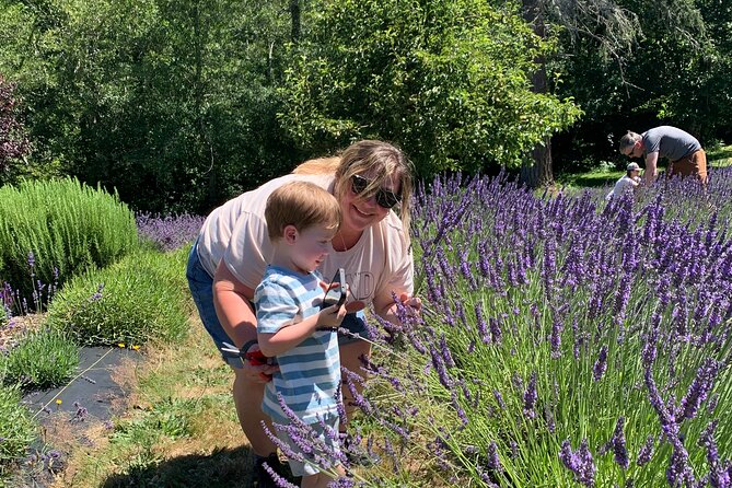 U-Pick Lavender Experience on Bainbridge Island - Flexibility with Cancellation and Weather Considerations