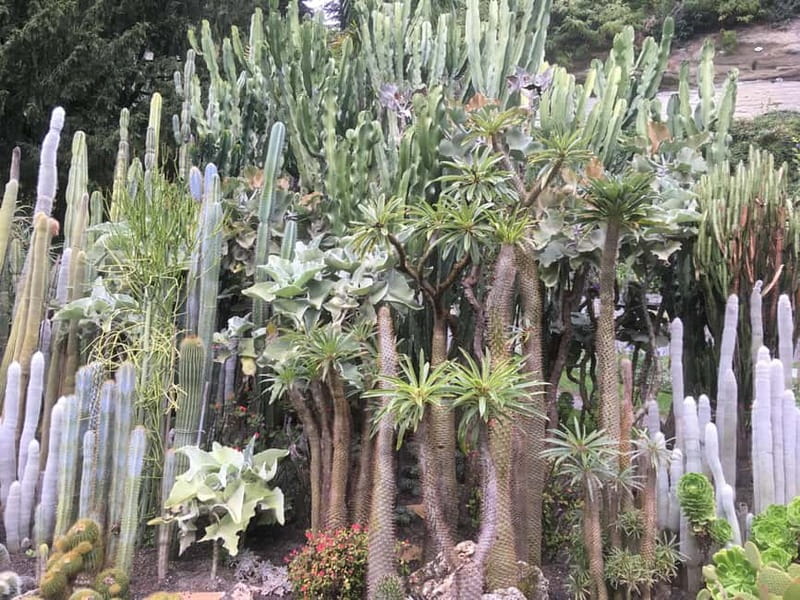 Überlingen: Private city tour with wine tasting - Überlingen: A Medieval Town with a Modern Twist