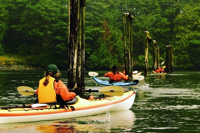 Ucluelet Harbour Tour - Discover the Ucluelet Harbour Kayaking Experience for $81.54