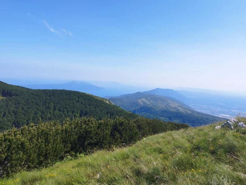 Uka Nature Park Private Hiking or Running Tour - Key Points