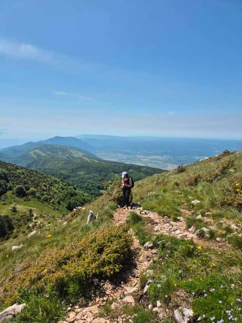 Uka Nature Park Private Hiking or Running Tour - Discovering Hidden Gems in Uka Nature Park