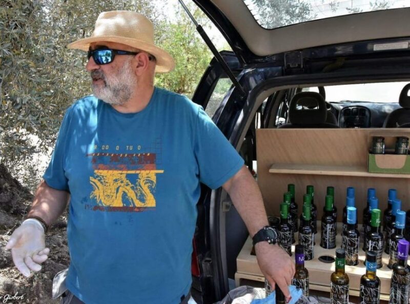 Ulldecona: Guided Tour of the Millenary Olive Trees of Arión - Learning about Olive Tree History and Regional Production