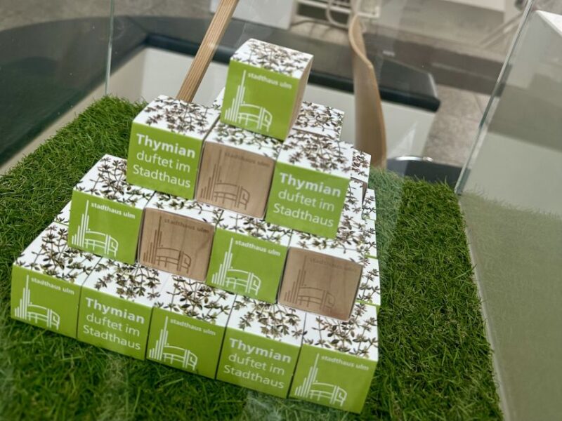 Ulm Card: 20+ attractions and optional public transportation - Key Points