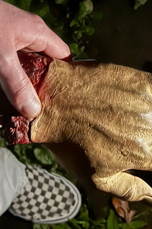 Ulm: Scary Walking Tour - Frequently Asked Questions