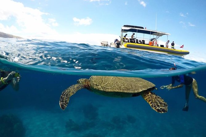 Ultimate 4 Hour Lanai Snorkel and Dolphin Encounter - Explore Maui’s Marine Wonders with the Ultimate 4-Hour Lanai Snorkel and Dolphin Encounter