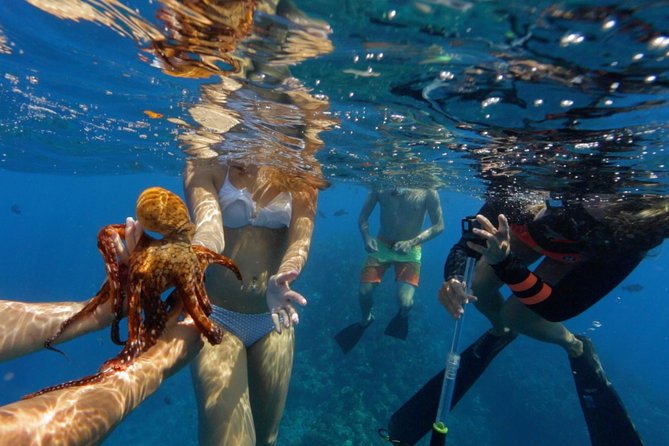 Ultimate 4 Hour Lanai Snorkel and Dolphin Encounter - Food and Refreshments on Board
