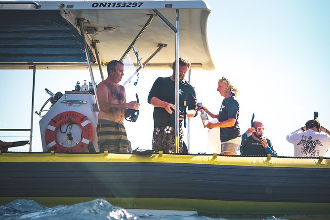 Ultimate 4 Hour Lanai Snorkel and Dolphin Encounter - Accessibility and Physical Considerations