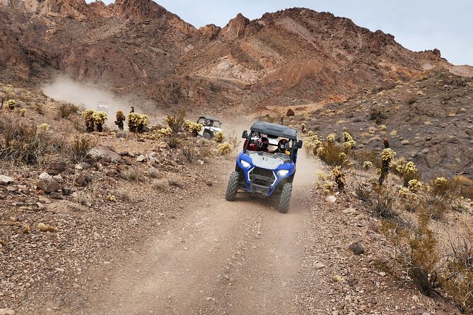 Ultimate Adventure: RZR + Ghost Town + Gold Mine + Games + Lunch - Exciting Nevada Adventure with RZR, Ghost Town, and Gold Mine