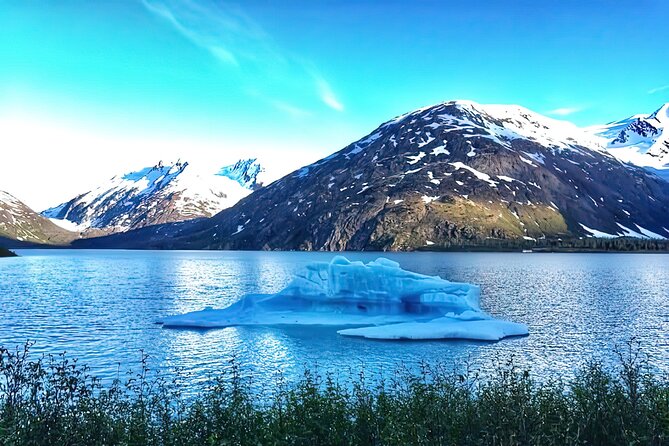 Ultimate Anchorage and Turnagain Arm Private Full Day Tour - Birdwatching at Potter Marsh and Beluga Point