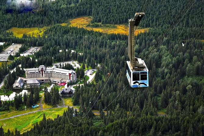 Ultimate Anchorage and Turnagain Arm Private Full Day Tour - Flexibility and Private Experience