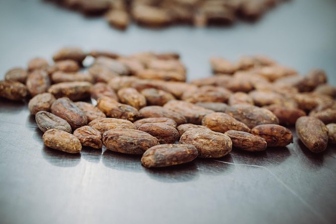 Ultimate Chocolate Tour in Montreal with Included Tastings - Making Chocolate Bars and Souvenirs