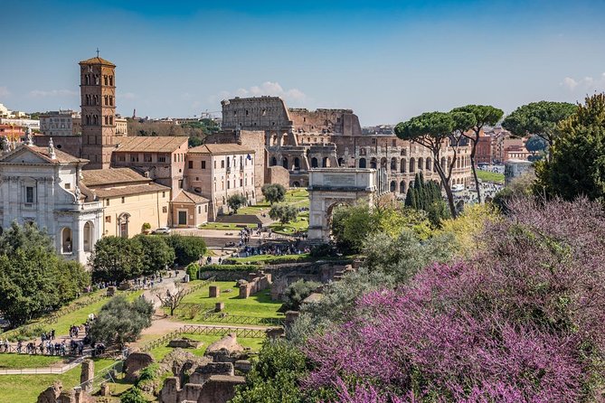 Ultimate Colosseum, Roman Forum & Palatine Hill Small Group Tour - Pacing and Crowd Management