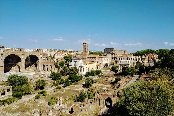 Ultimate Colosseum Small Group Tour - The Historical Significance of Palatine Hill