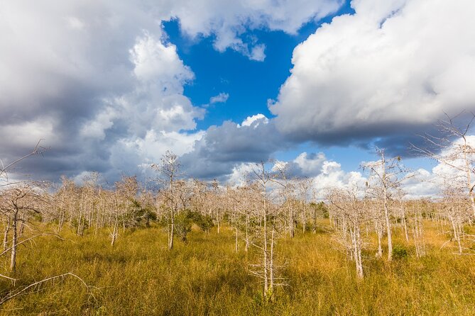 Ultimate Florida Self Guided Driving & Walking Audio Tour Bundle - Unveiling the Hidden Wonders of Big Cypress