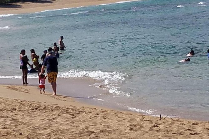 Ultimate Grand Oahu Circle Island Tour with Snorkeling and More - The Tours Pacing and Logistics