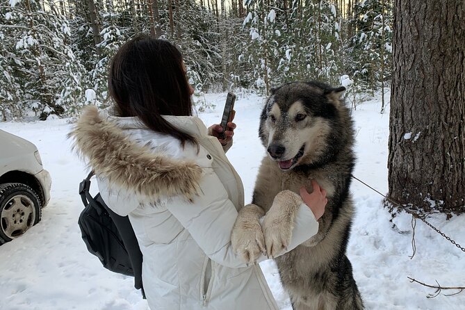 Ultimate Husky dog sledding experience in Latvia - Private tour from Riga - Practical Details: Meeting Points and Schedules