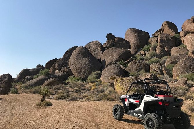 Ultimate Las Vegas RZR Adventure: Hidden Valley and Primm - The Power and Safety Features of Modern RZR Vehicles