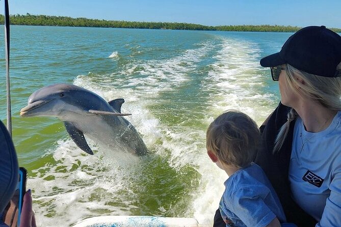 Ultimate National Park Expedition Dry Tortugas Everglades - The Logistics and Inclusions of the Tour