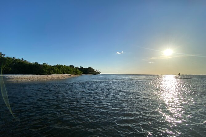 Ultimate Private Scalloping Adventure in Crystal River - Wildlife Encounters and Marine Sights