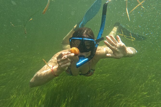 Ultimate Private Scalloping Adventure in Crystal River - Practical Considerations and Physical Requirements