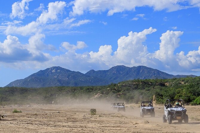 Ultimate UTV Desert and Canyon Adventure - Eco-Conscious Thrills in the Los Cabos Desert