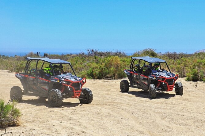 Ultimate UTV Desert and Canyon Adventure - Who Will Enjoy This UTV Tour Most?