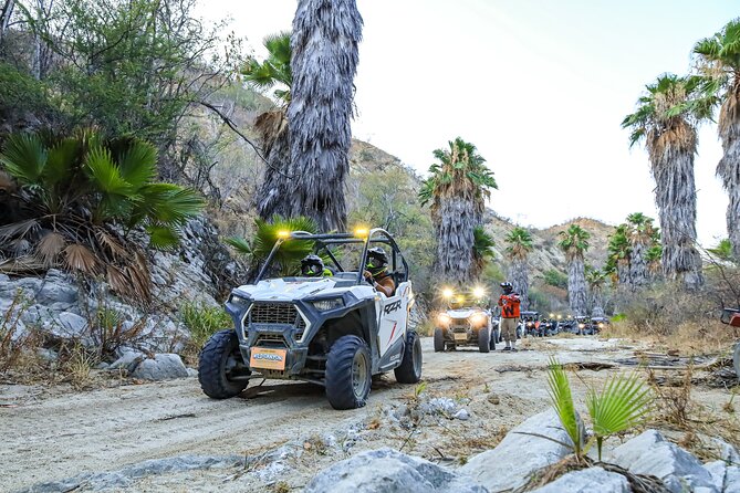 Ultimate UTVs Adventure - Exciting UTV Adventure in Cabo San Lucas for $199