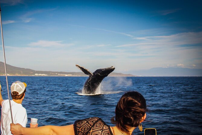 Ultimate Whale Watching Experience All-Inclusive - Discover the All-Inclusive Whale Watching Tour in Puerto Vallarta for $110