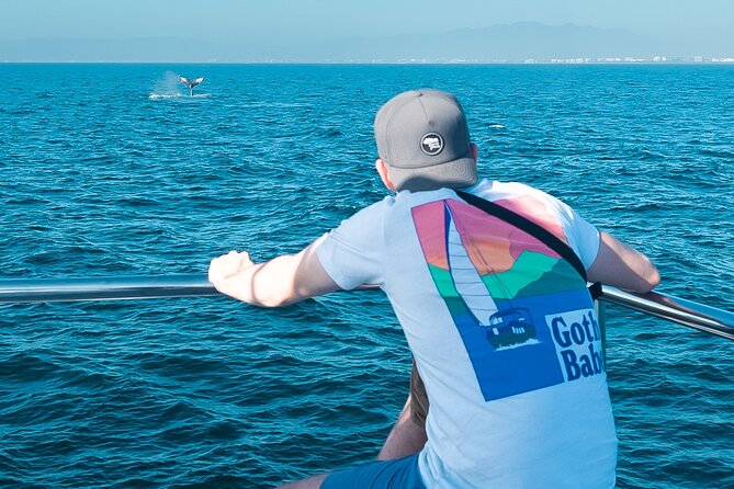 Ultimate Whale Watching Experience All-Inclusive - Key Points