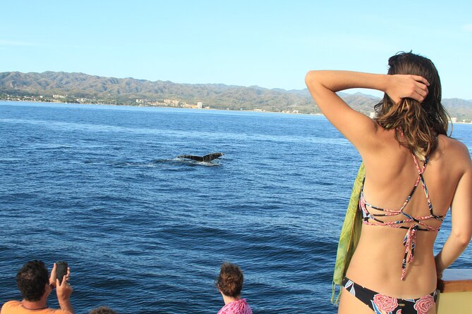 Ultimate Whale Watching Experience All-Inclusive - Practical Details and Group Size