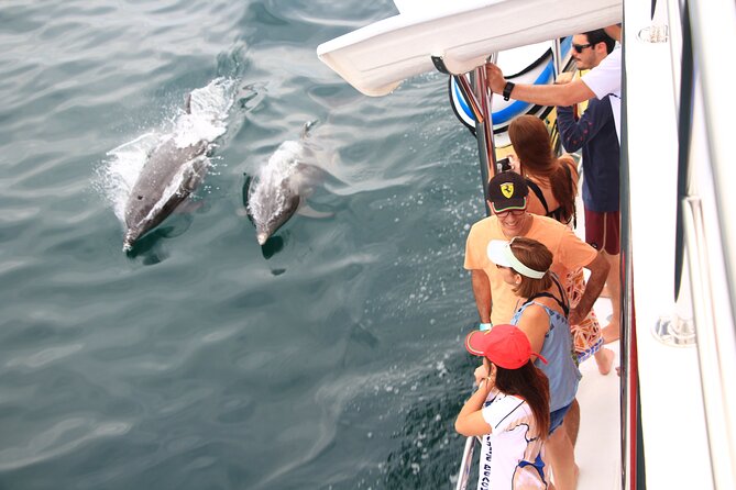 Ultimate Whale Watching Experience All-Inclusive - Unmatched Reviews and Highlights