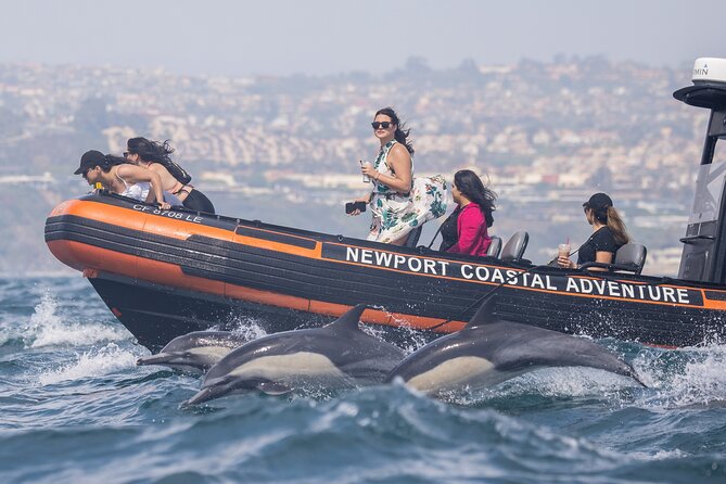Ultimate Whale Watching Tour aboard the SuperRib: 24 People Max - Why Choose the SuperRIB for Whale Watching in Newport Beach?