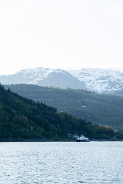 Ulvik adventure: Exploring Hardangerfjord's Osafjord by RIB - Overall Experience and Final Thoughts